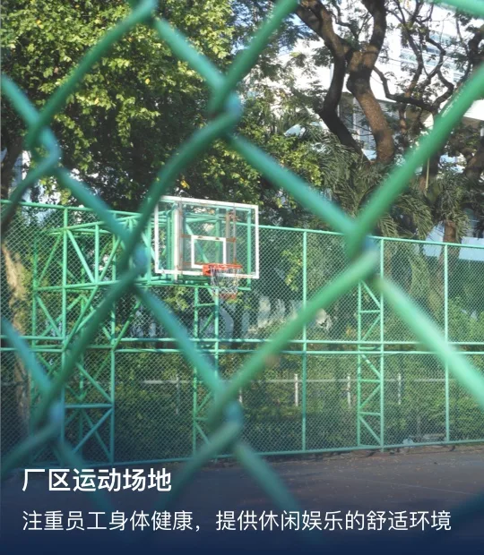 编组 7
